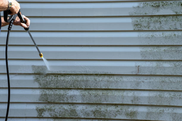 Best Historical Building Siding Restoration  in Potomac Mills, VA