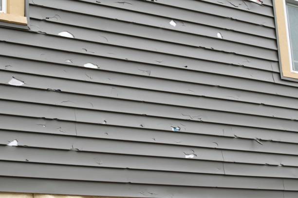 Best Residential Vinyl Siding Installation  in Potomac Mills, VA